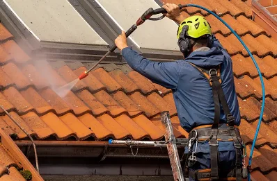 Démoussage et hydrofuge de toiture à Rothonay